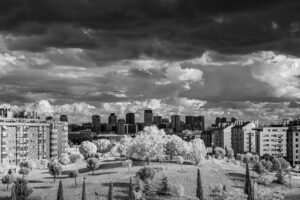 From my window